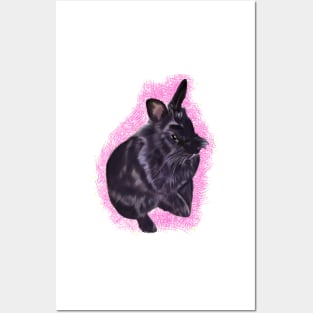 bunny rabbit cute  ebony colored coloured lionhead bunny rabbit with pink background Posters and Art